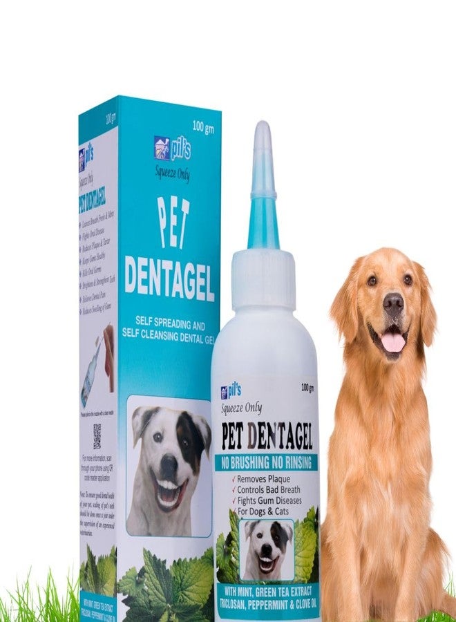 pil Pet Denta Gel Toothpaste for Dog & Cat with Mint, Green Tea Extract & Clove Oil |Fights Gum Diseases, Removes Plaque & Controls Bad Breath| Squeeze Only- No Brushing, No Rinsing (100Gm). - Image 1